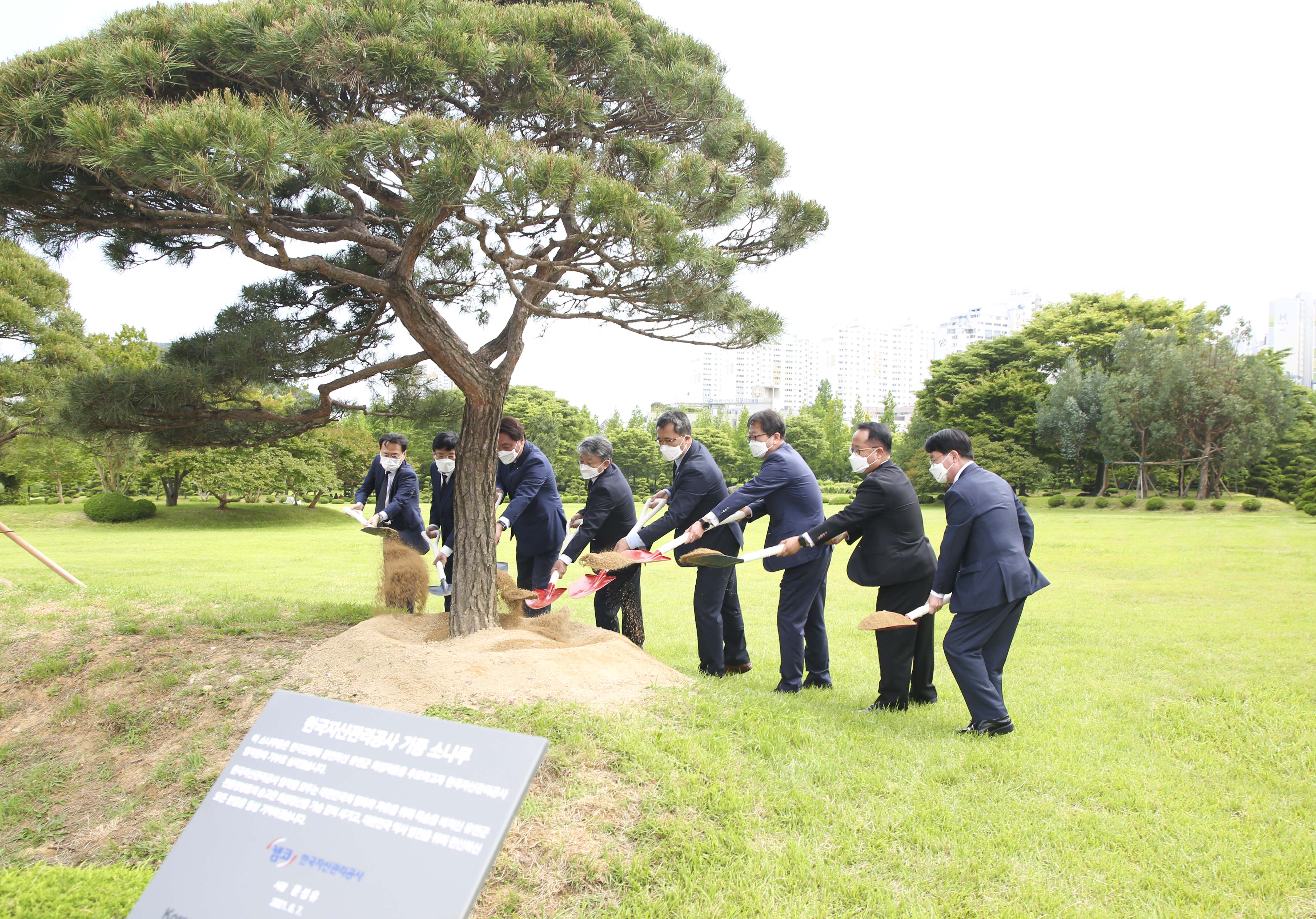 6월 7일(월) 유엔기념공원(부산시 남구 소재)에서 문성유 캠코 사장(사진 오른쪽 네 번째)과 임직원들이 태풍 등으로 훼손된 공원 안 수목 정비를 위한 식수에 시삽하고 있다.