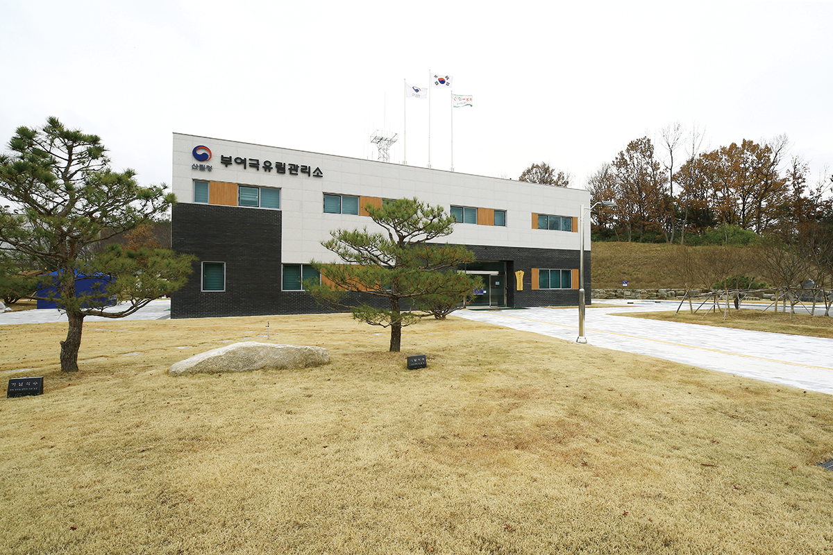 [산림청] 중부지방산림청 부여국유림관리소 이미지 4